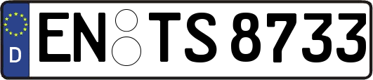 EN-TS8733