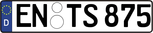 EN-TS875
