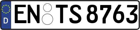 EN-TS8763