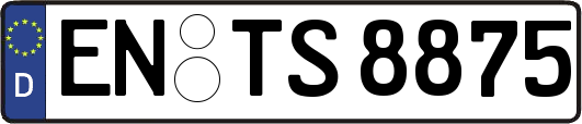 EN-TS8875