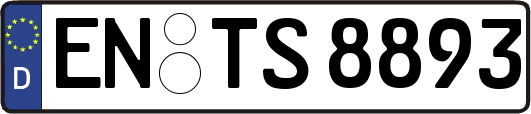 EN-TS8893