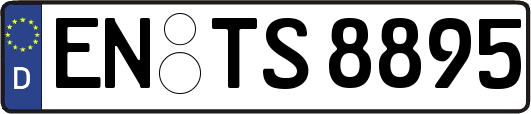 EN-TS8895