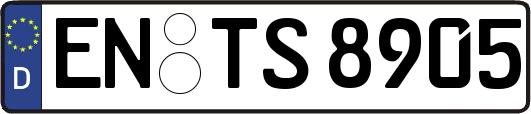 EN-TS8905