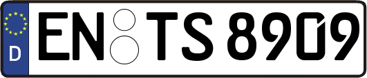 EN-TS8909