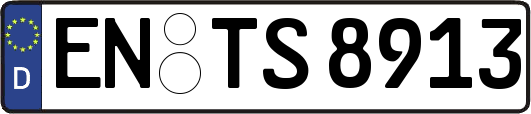 EN-TS8913