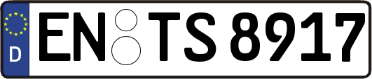 EN-TS8917