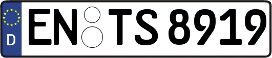 EN-TS8919