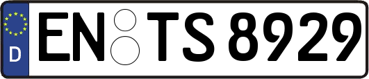 EN-TS8929