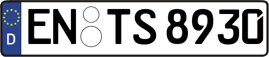 EN-TS8930