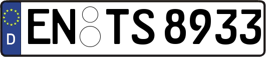 EN-TS8933