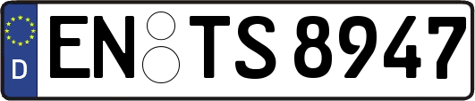 EN-TS8947