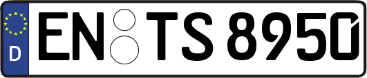 EN-TS8950