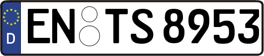 EN-TS8953