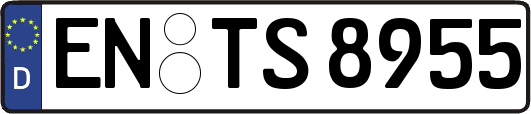 EN-TS8955