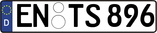 EN-TS896