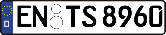 EN-TS8960