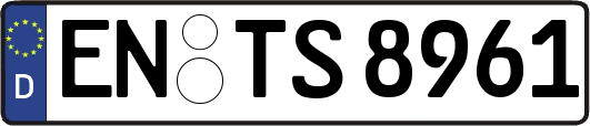 EN-TS8961