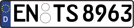 EN-TS8963