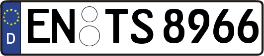EN-TS8966