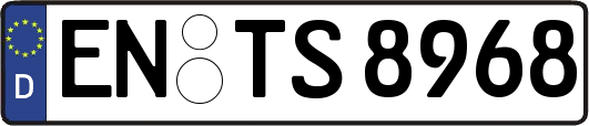 EN-TS8968