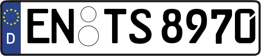 EN-TS8970