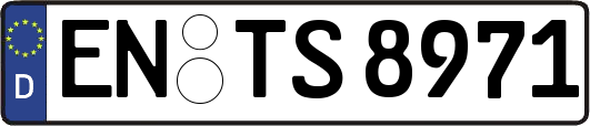 EN-TS8971