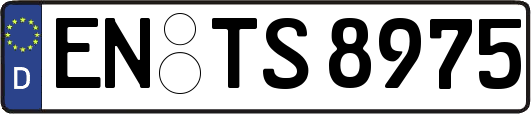 EN-TS8975