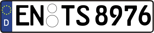 EN-TS8976