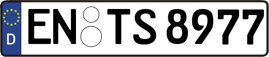 EN-TS8977