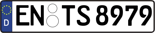 EN-TS8979