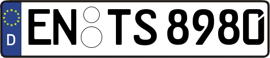 EN-TS8980