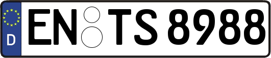 EN-TS8988