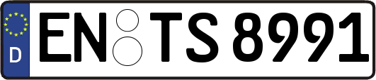 EN-TS8991