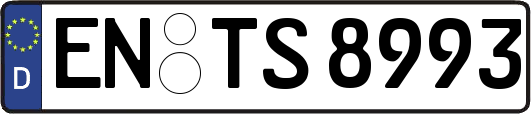 EN-TS8993