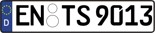 EN-TS9013