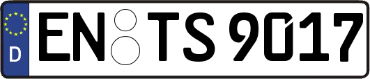 EN-TS9017