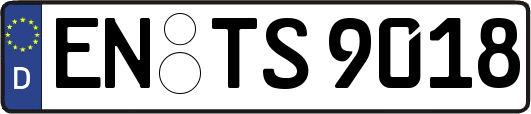 EN-TS9018