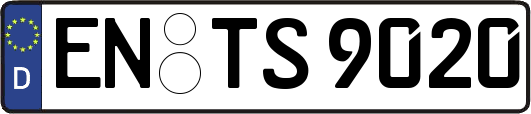 EN-TS9020