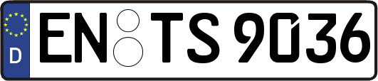 EN-TS9036