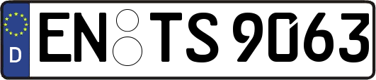 EN-TS9063