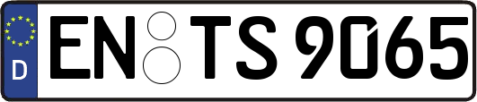 EN-TS9065