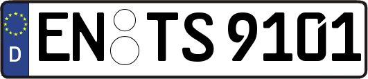 EN-TS9101