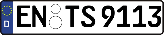 EN-TS9113