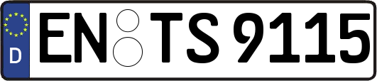 EN-TS9115