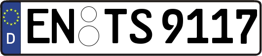 EN-TS9117