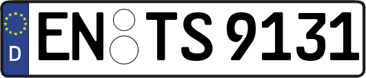 EN-TS9131