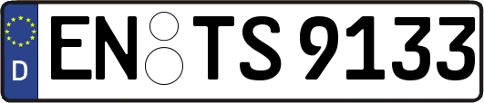 EN-TS9133