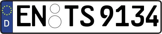 EN-TS9134