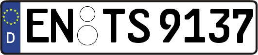 EN-TS9137