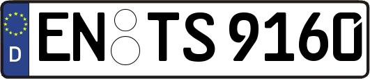EN-TS9160